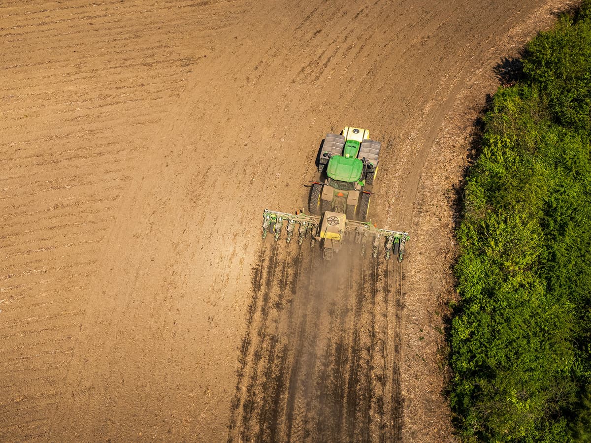 sowing